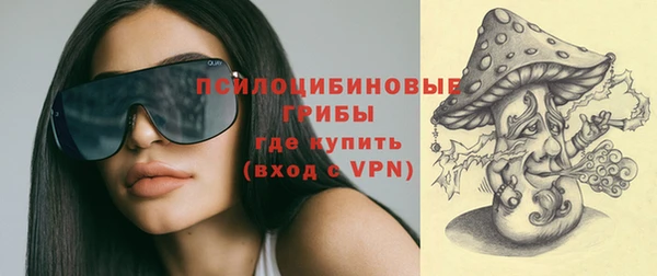 стафф Елабуга