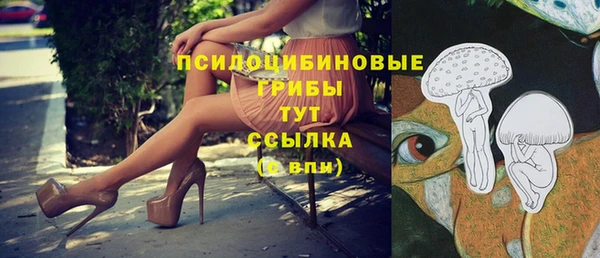 круглые Ельня
