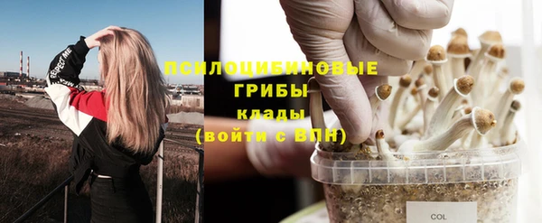 стафф Елабуга