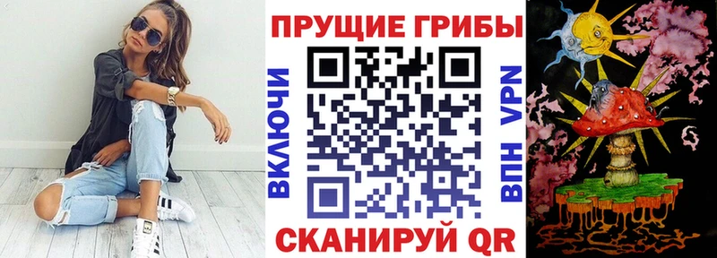 Купить где  Звенигород  Галлюциногенные грибы Magic Shrooms 